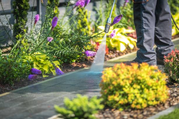 Reliable Smiths Station, AL Pressure Washing Solutions